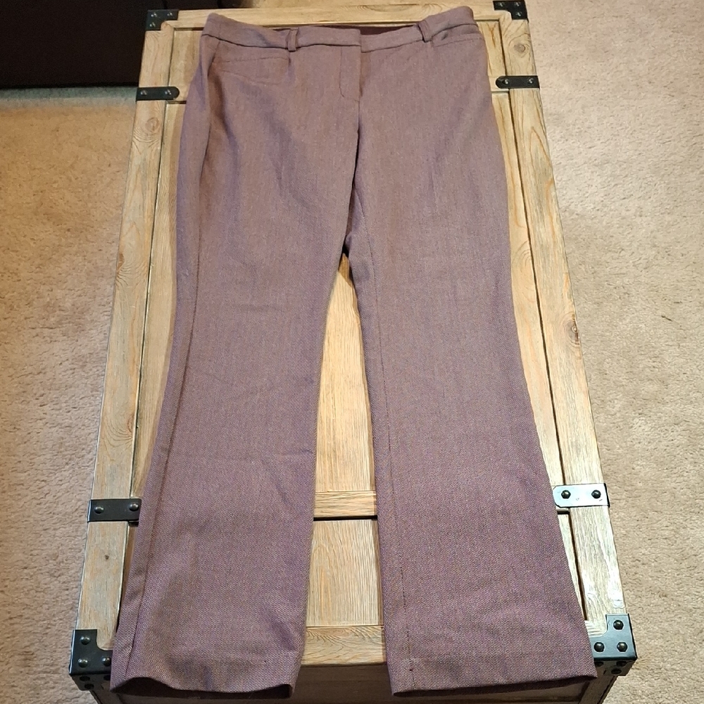 Express Maroon Stretch Pants